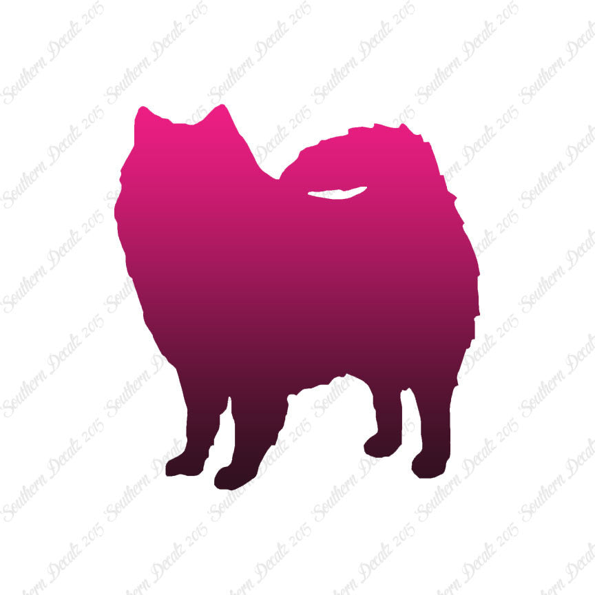 American Eskimo Dog Breed