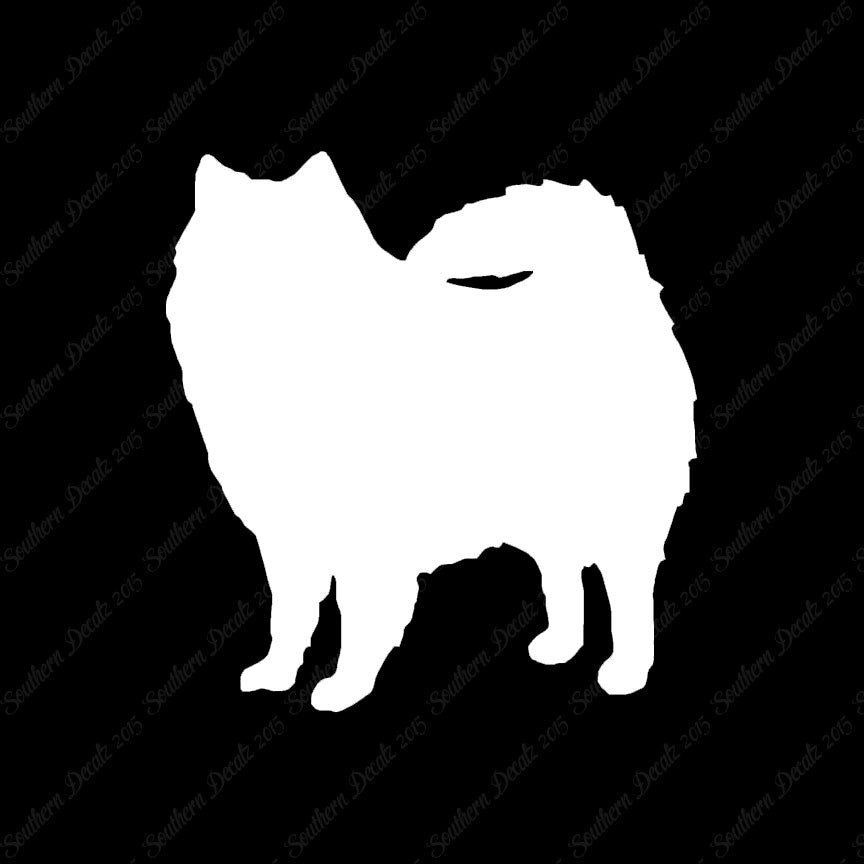 American Eskimo Dog Breed