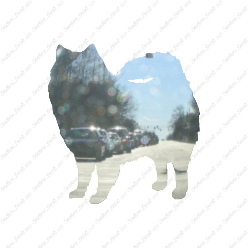 American Eskimo Dog Breed