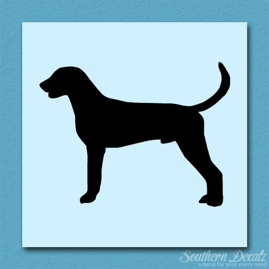 American Foxhound Dog Breed
