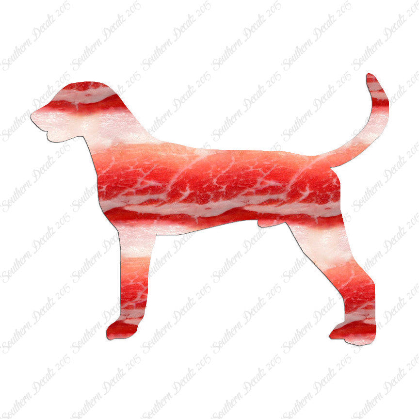 American Foxhound Dog Breed