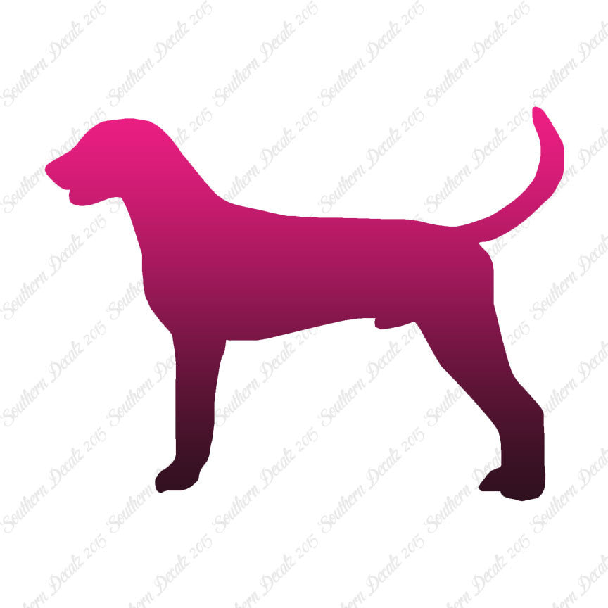 American Foxhound Dog Breed