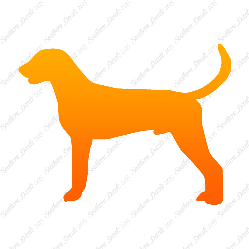 American Foxhound Dog Breed