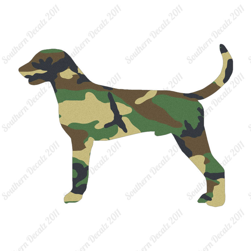American Foxhound Dog Breed