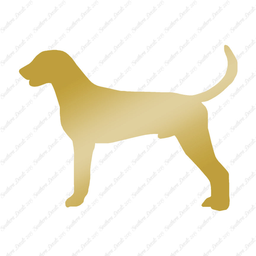 American Foxhound Dog Breed