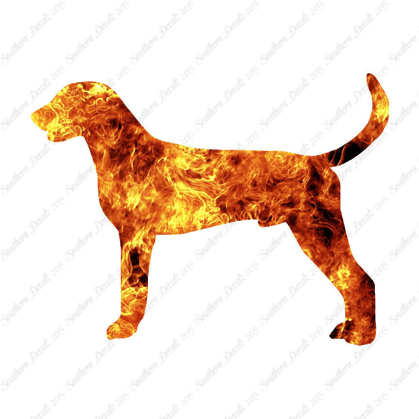 American Foxhound Dog Breed
