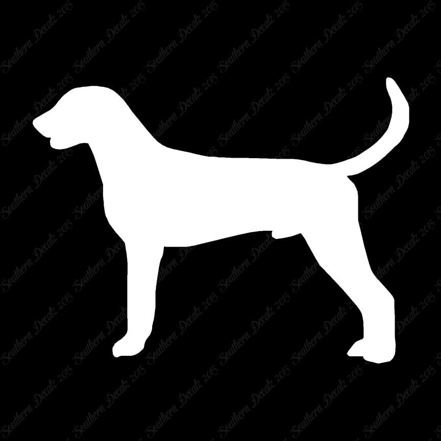 American Foxhound Dog Breed