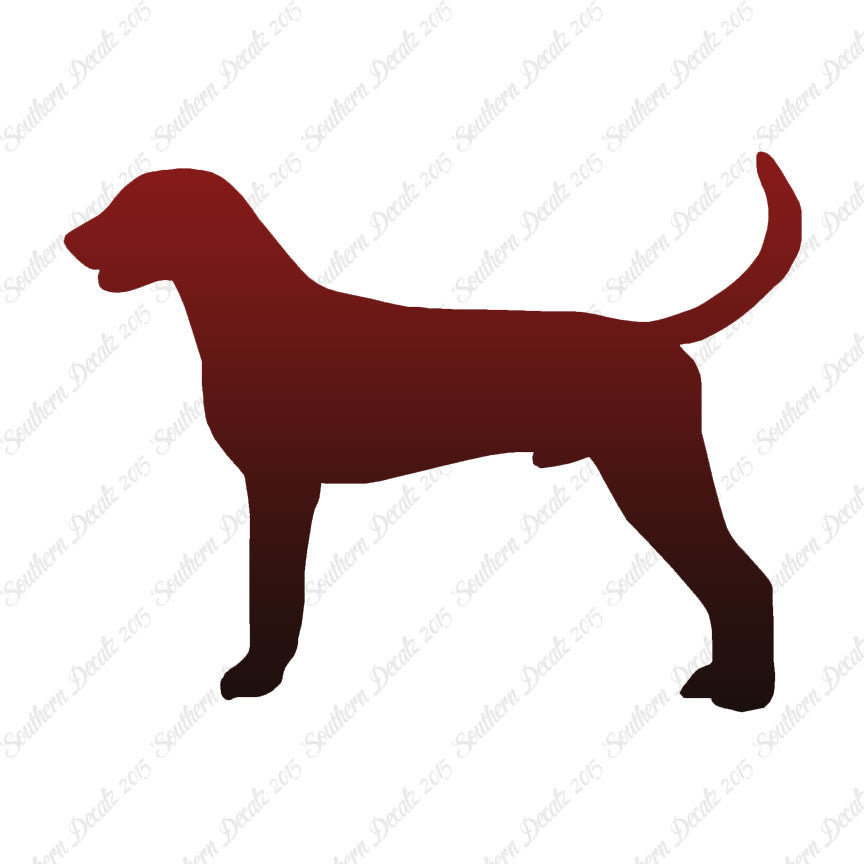 American Foxhound Dog Breed