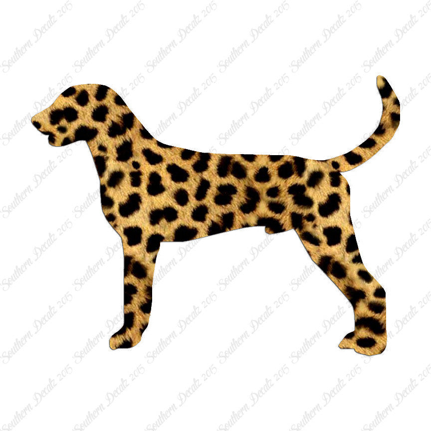 American Foxhound Dog Breed