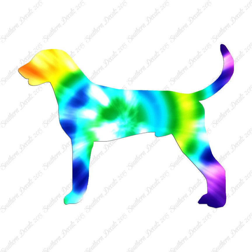 American Foxhound Dog Breed