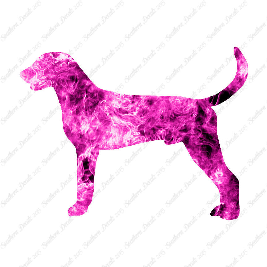 American Foxhound Dog Breed