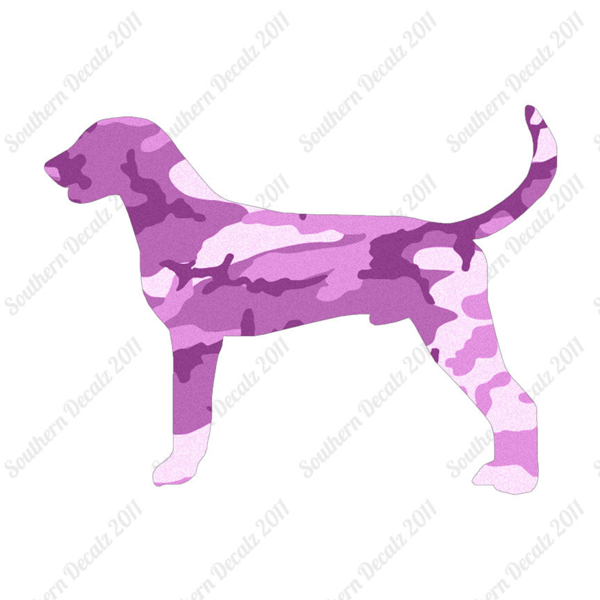 American Foxhound Dog Breed