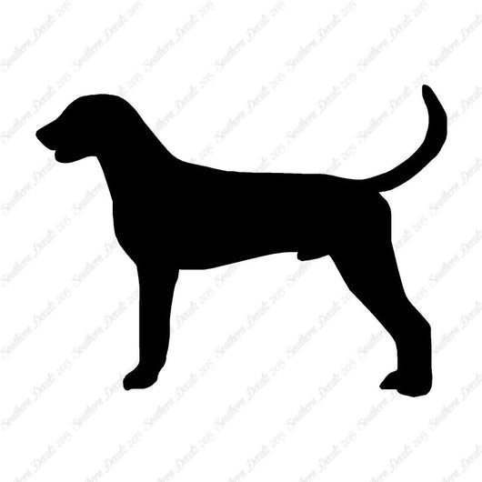 American Foxhound Dog Breed