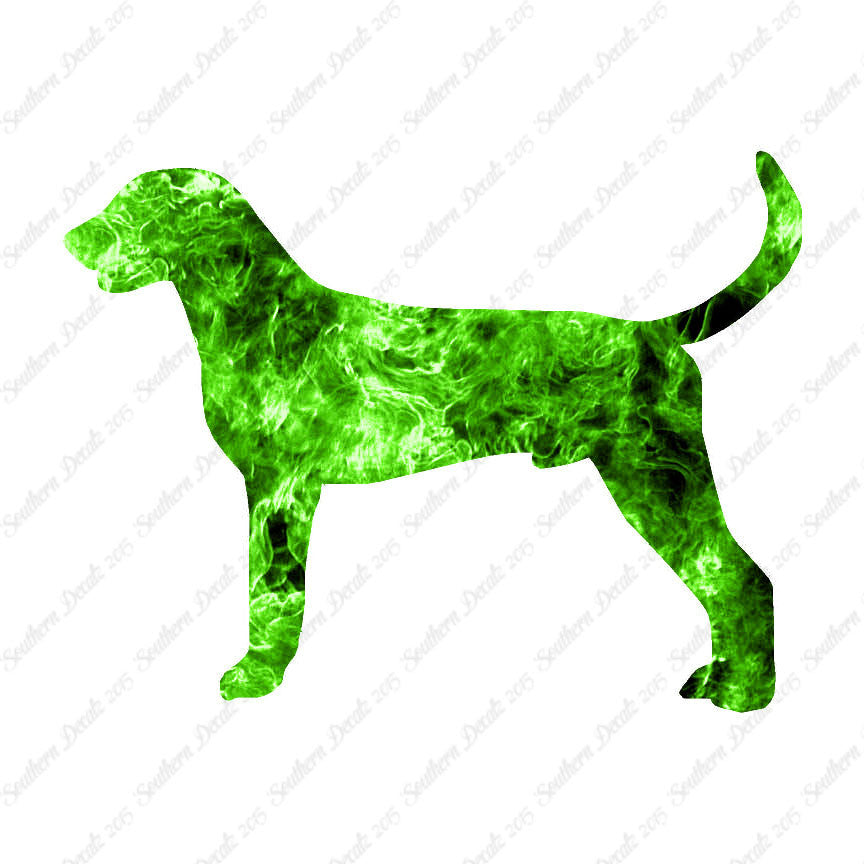 American Foxhound Dog Breed
