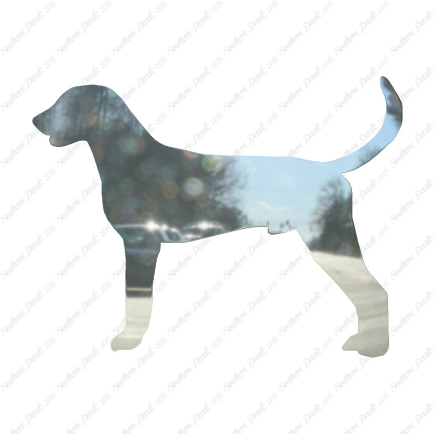 American Foxhound Dog Breed