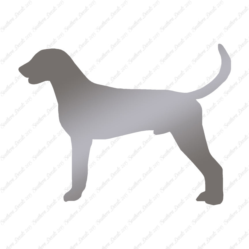 American Foxhound Dog Breed