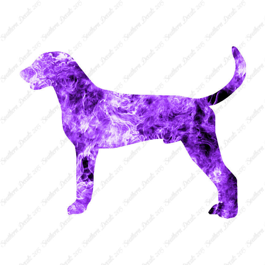 American Foxhound Dog Breed