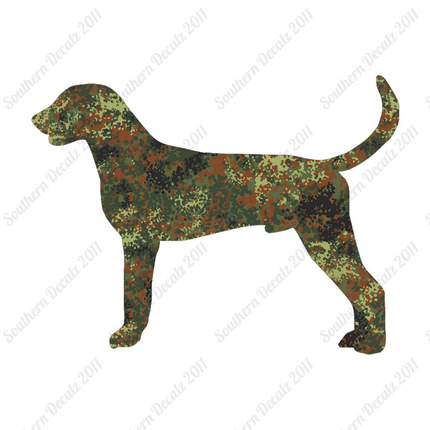 American Foxhound Dog Breed