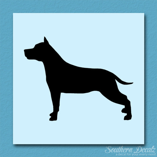 American Staffordshire Terrier Dog