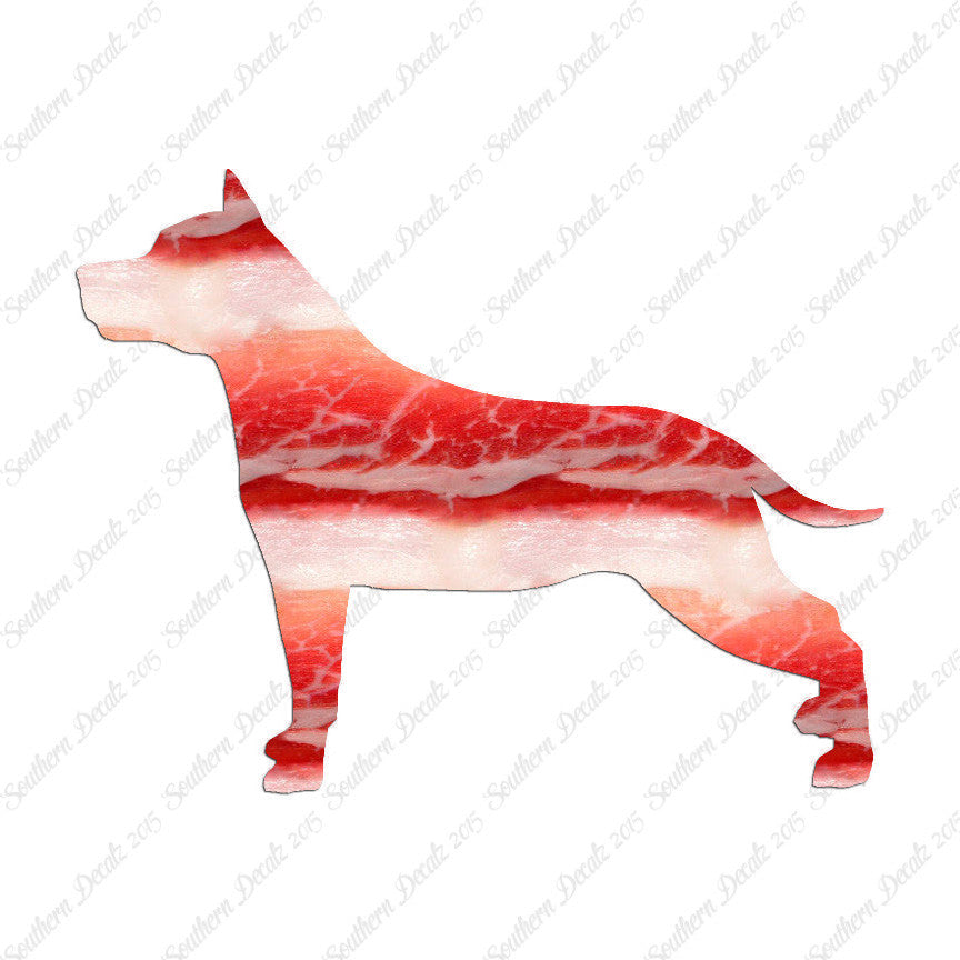 American Staffordshire Terrier Dog