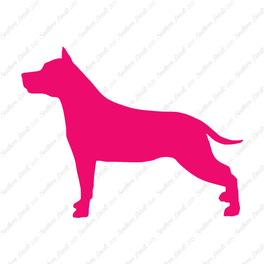 American Staffordshire Terrier Dog