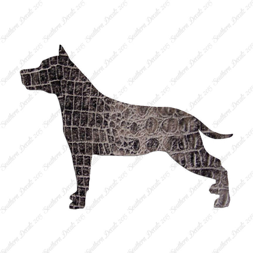 American Staffordshire Terrier Dog
