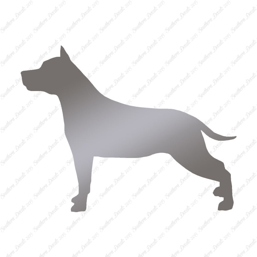 American Staffordshire Terrier Dog