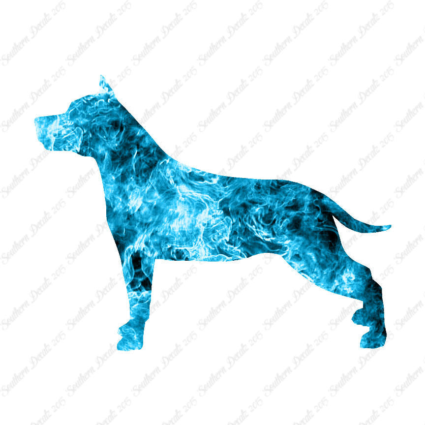 American Staffordshire Terrier Dog
