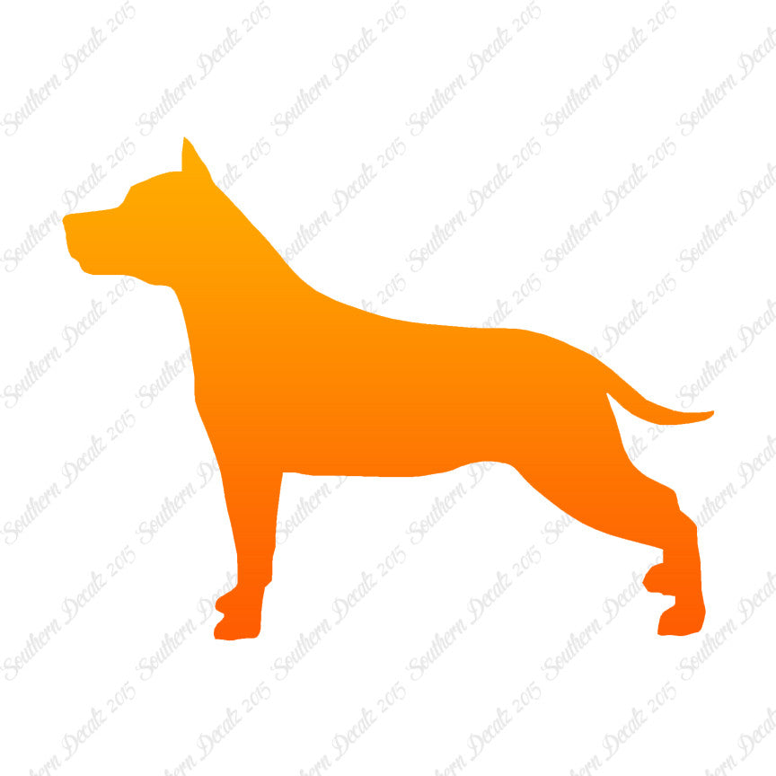 American Staffordshire Terrier Dog