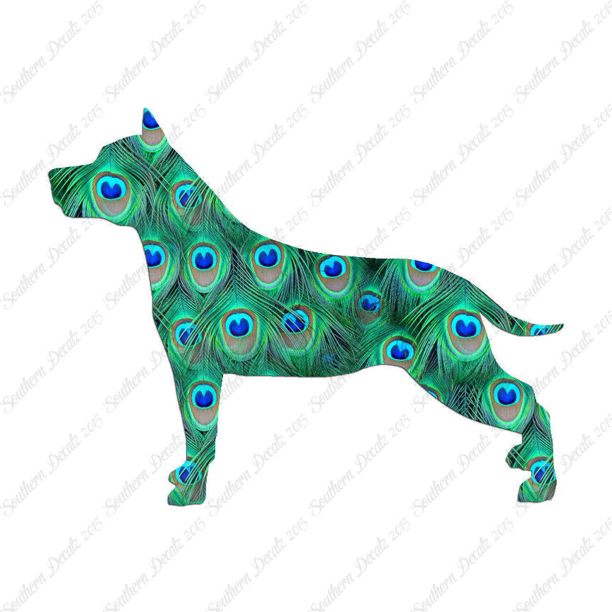 American Staffordshire Terrier Dog