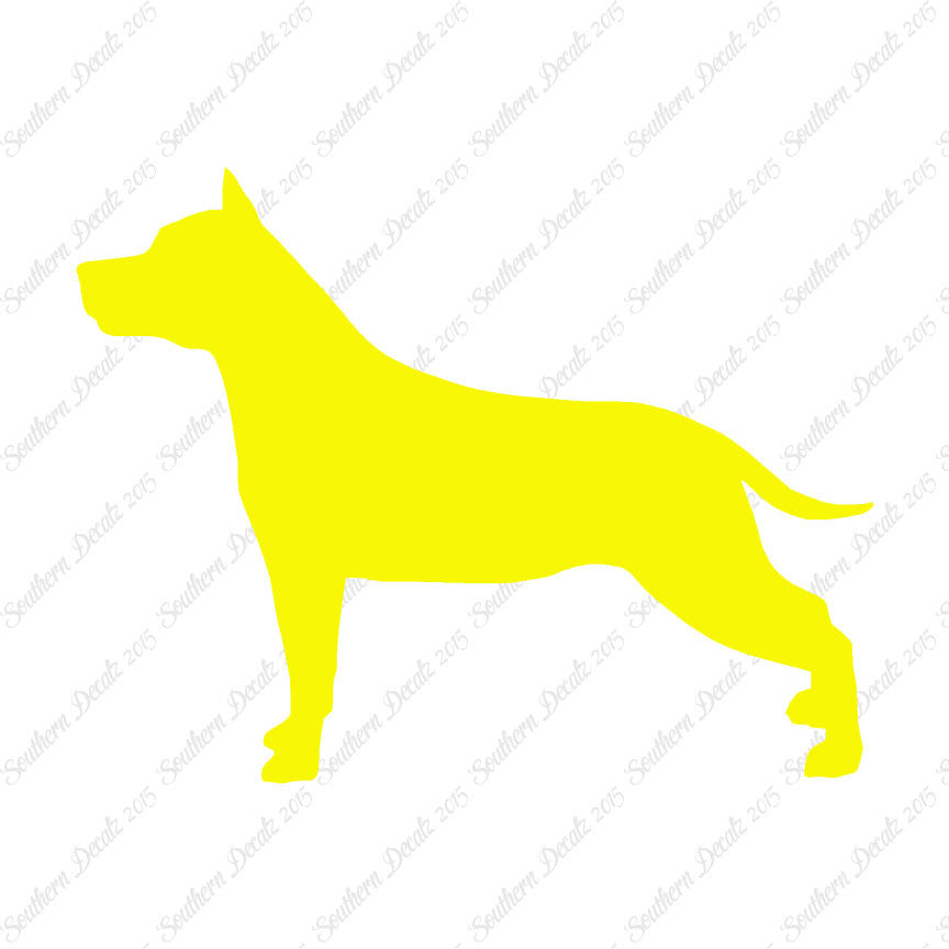 American Staffordshire Terrier Dog