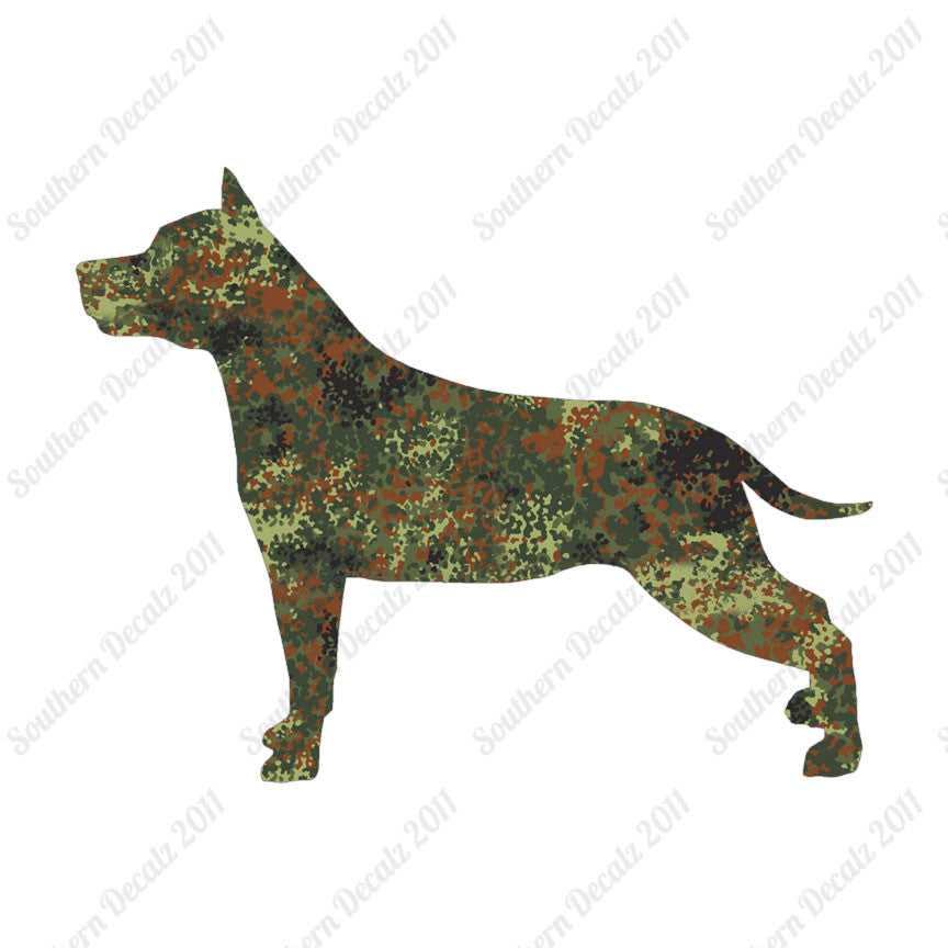 American Staffordshire Terrier Dog