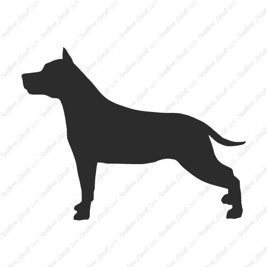 American Staffordshire Terrier Dog