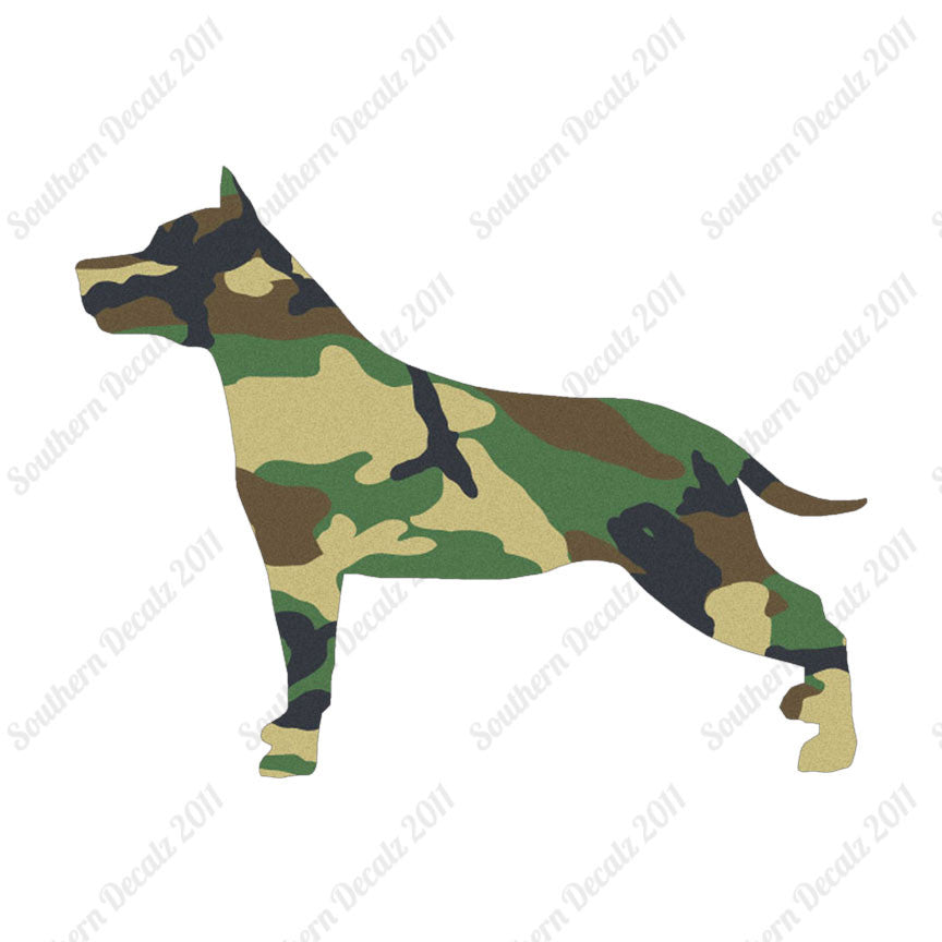 American Staffordshire Terrier Dog