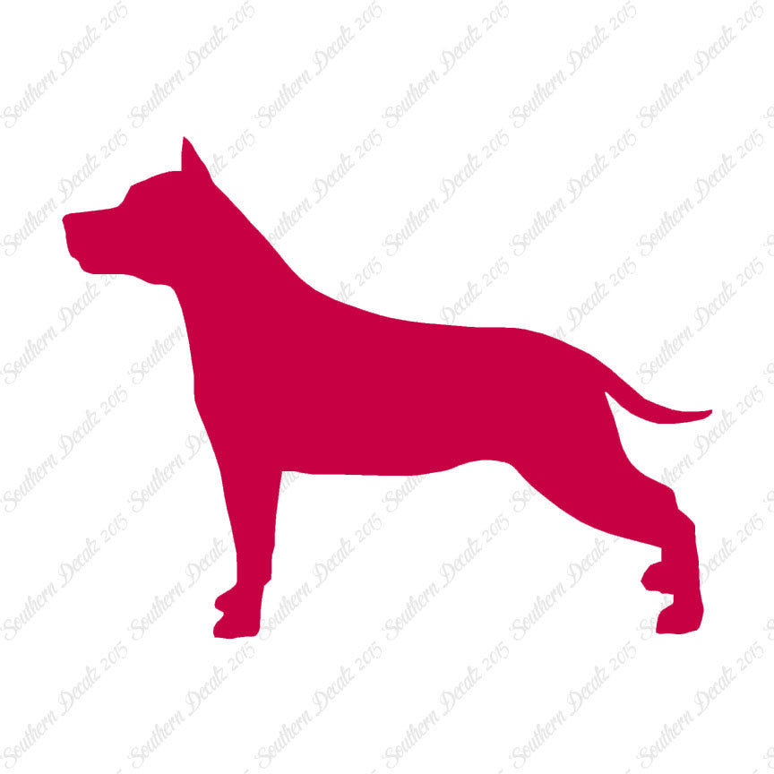 American Staffordshire Terrier Dog