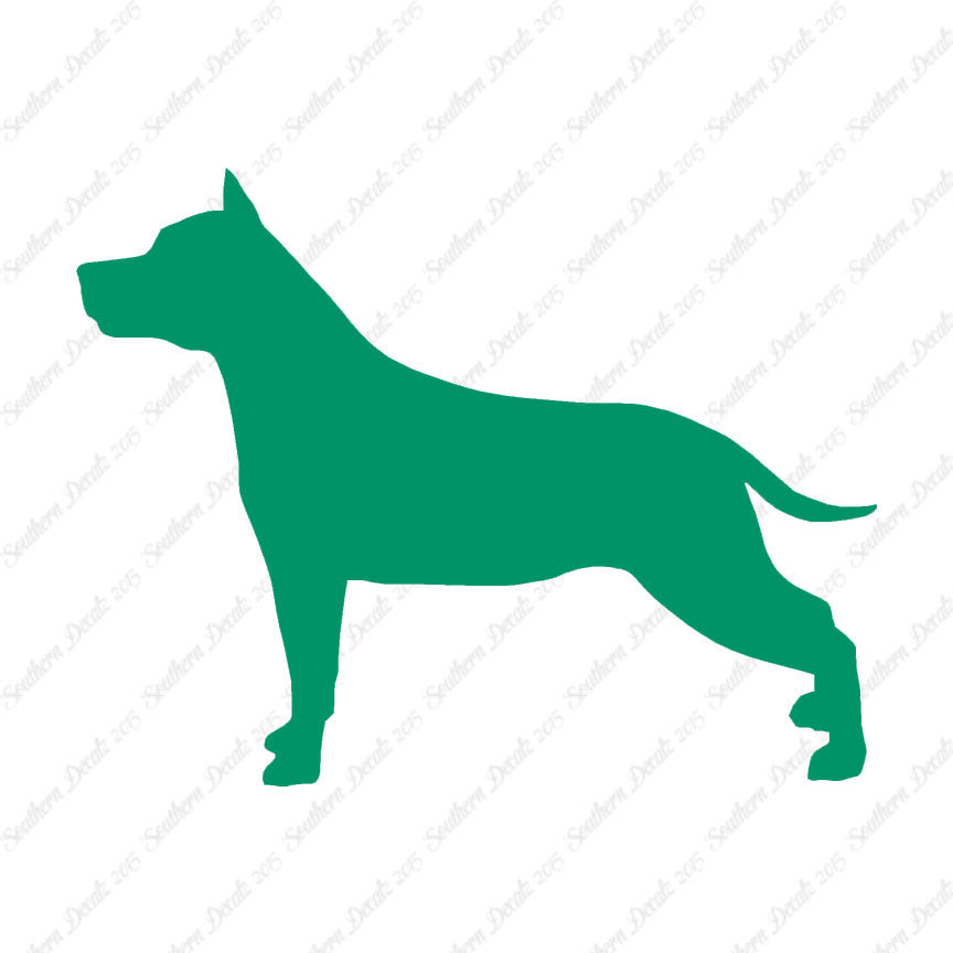 American Staffordshire Terrier Dog