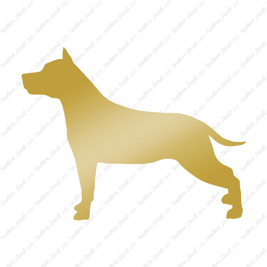 American Staffordshire Terrier Dog