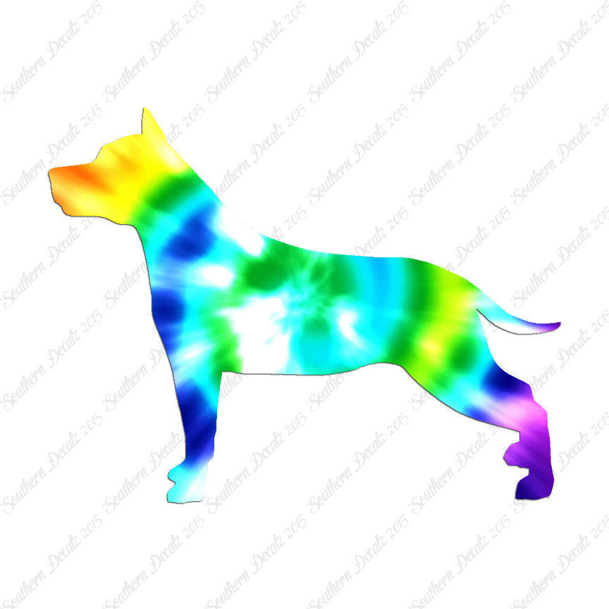 American Staffordshire Terrier Dog