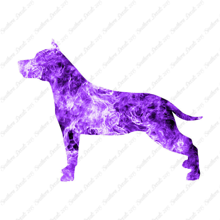 American Staffordshire Terrier Dog