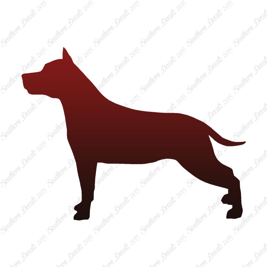 American Staffordshire Terrier Dog