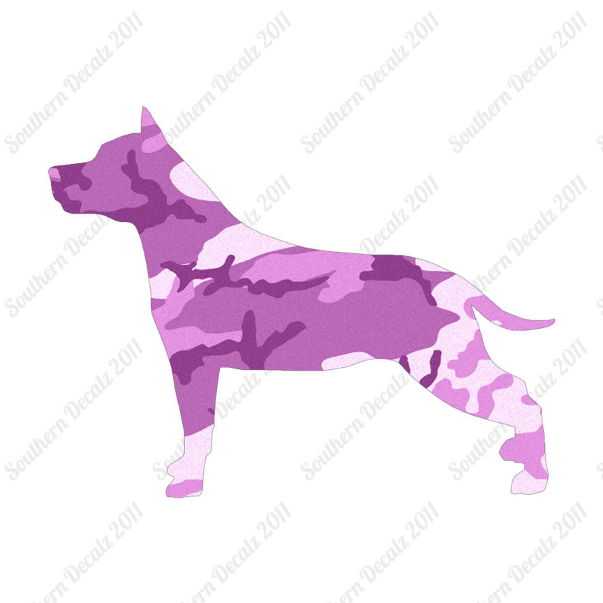 American Staffordshire Terrier Dog