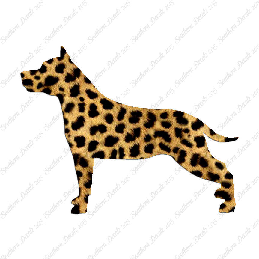 American Staffordshire Terrier Dog