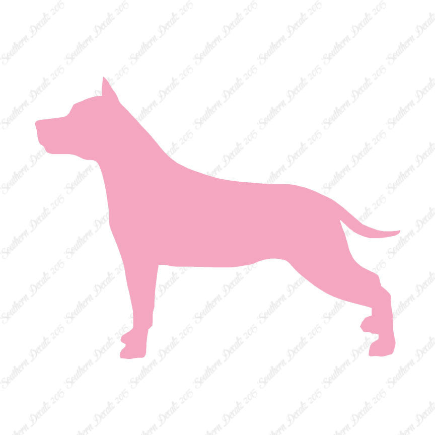 American Staffordshire Terrier Dog