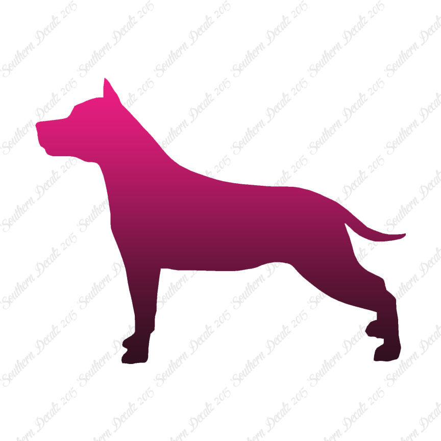 American Staffordshire Terrier Dog