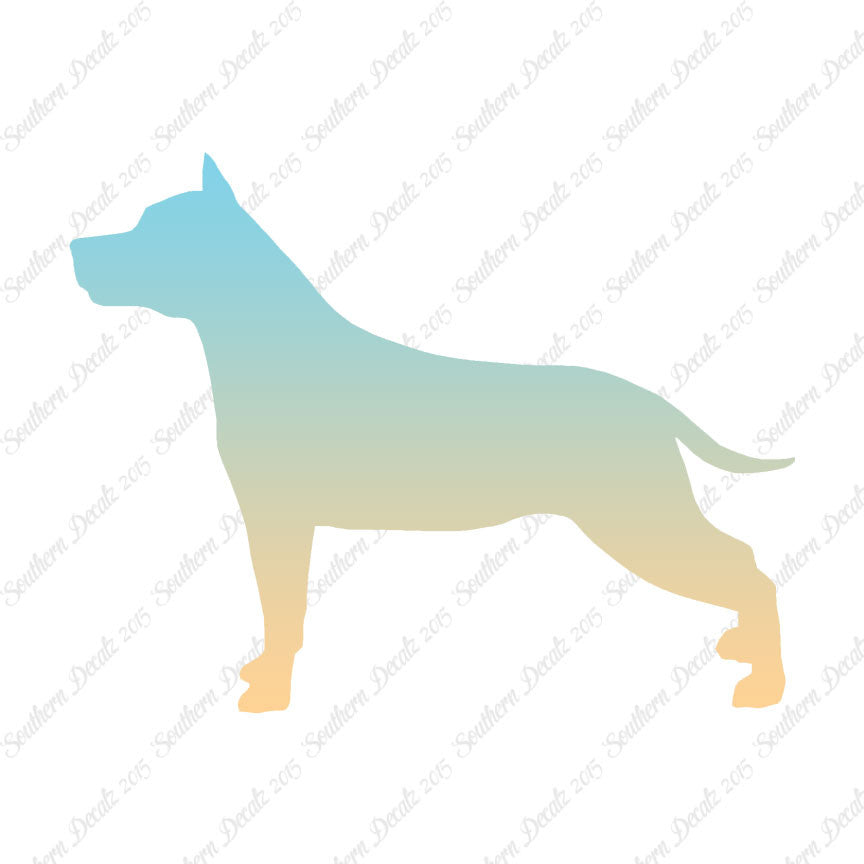 American Staffordshire Terrier Dog
