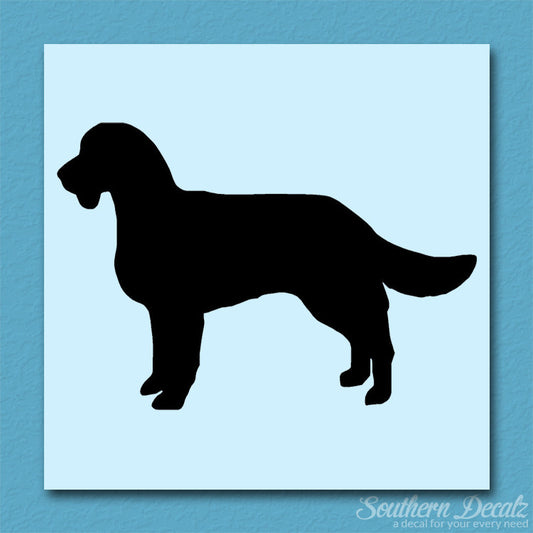 American Water Spaniel Dog Breed