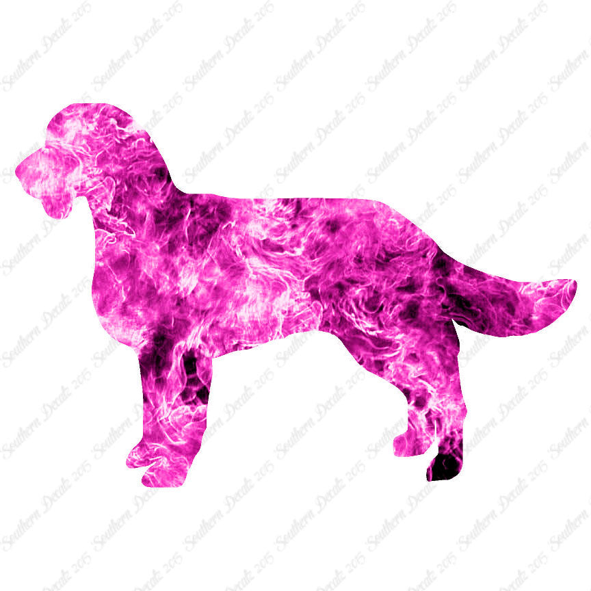 American Water Spaniel Dog Breed