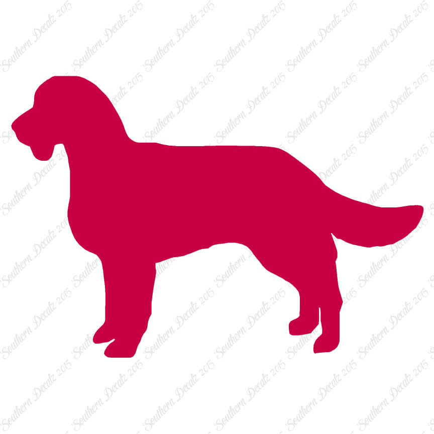 American Water Spaniel Dog Breed