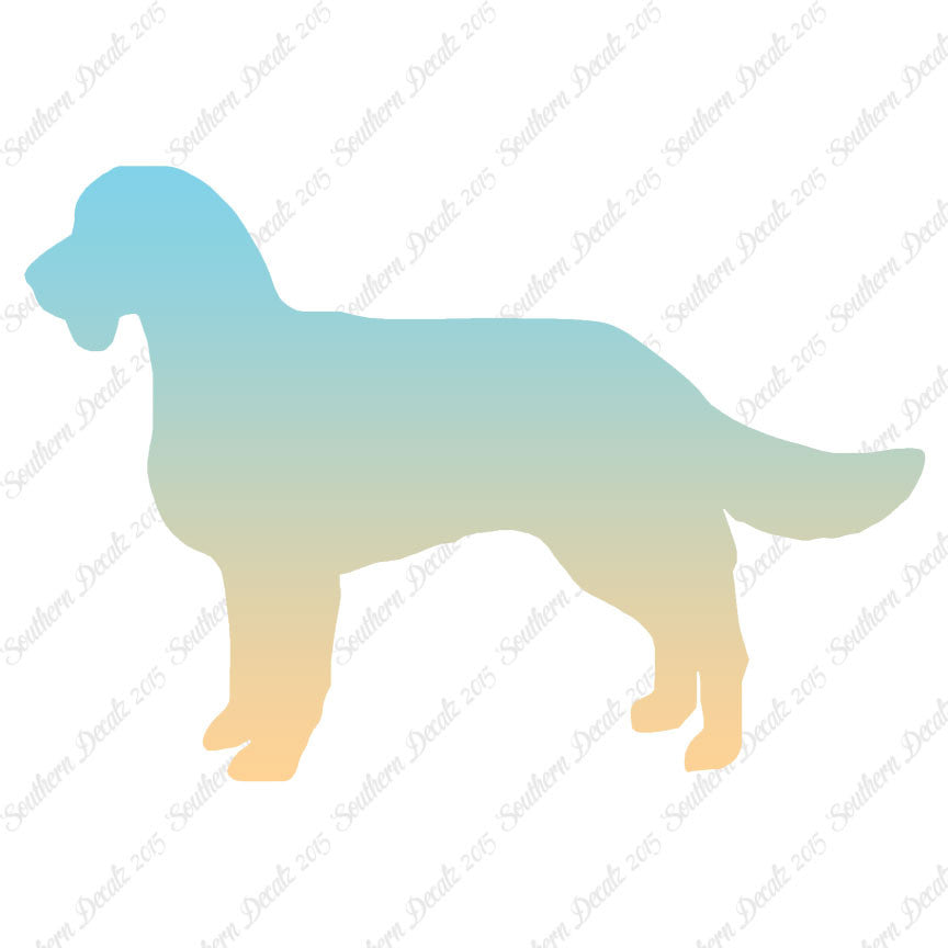 American Water Spaniel Dog Breed