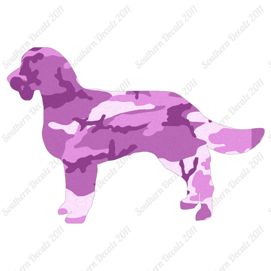American Water Spaniel Dog Breed